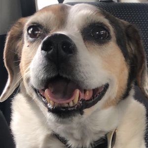 Meet your Posher, Peter